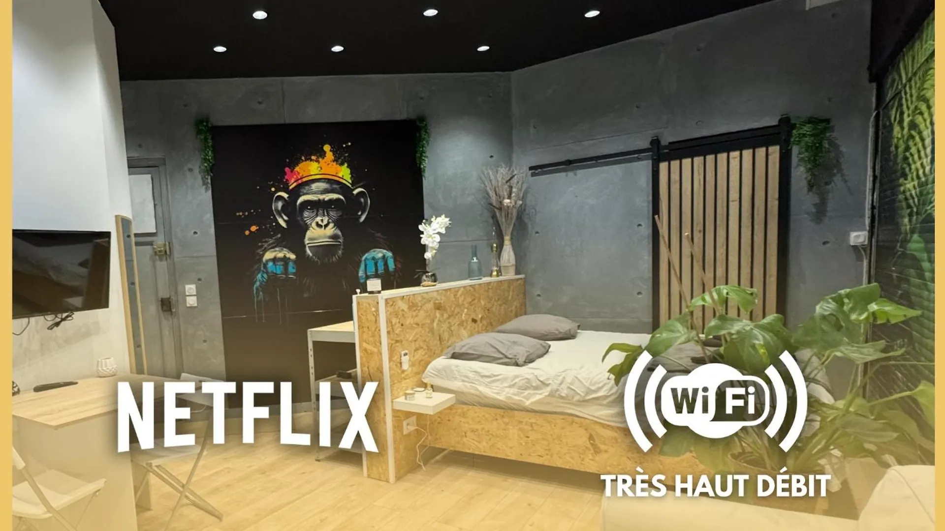 Studio Jungle With Breakfast And Video Projector ليون