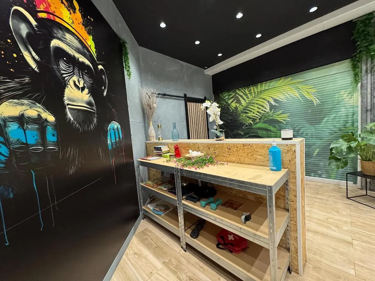 Apartment Studio Jungle With Breakfast And Video Projector Lyon