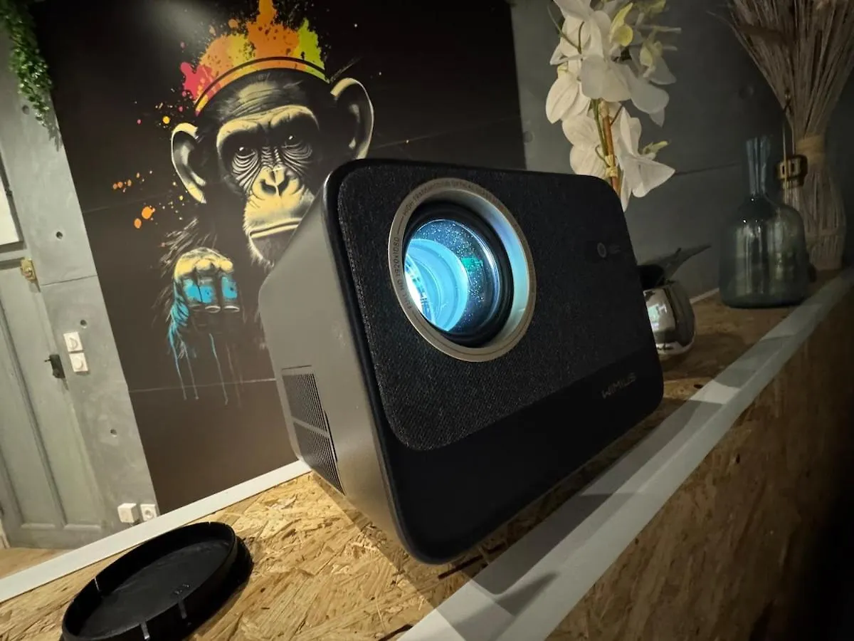 Studio Jungle With Breakfast And Video Projector Lyon France