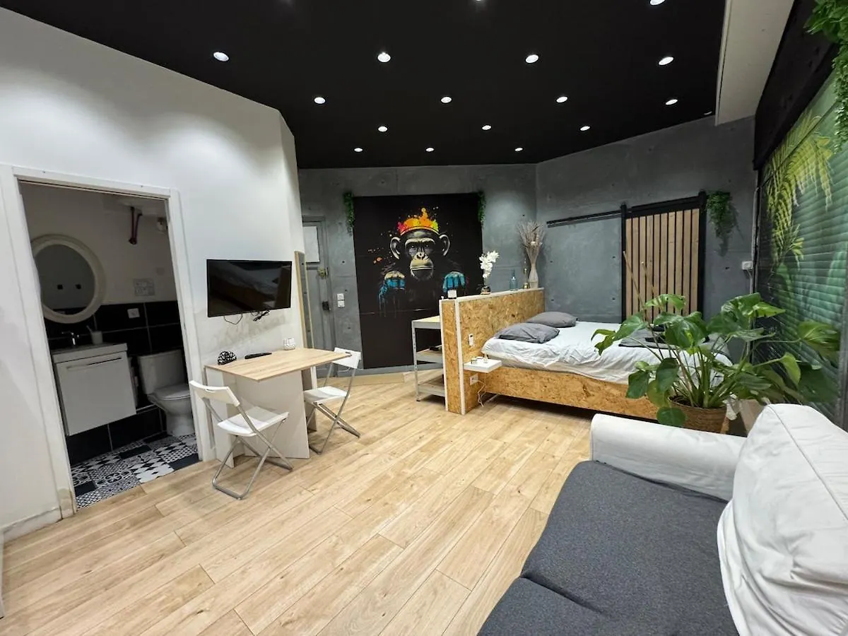 Apartment Studio Jungle With Breakfast And Video Projector Lyon France