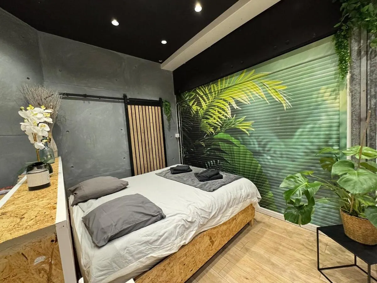 Studio Jungle With Breakfast And Video Projector Lyon Apartment