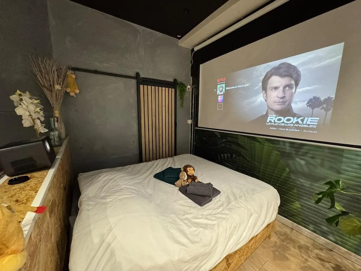 Studio Jungle With Breakfast And Video Projector Lyon